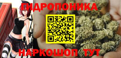 мдпв Янаул