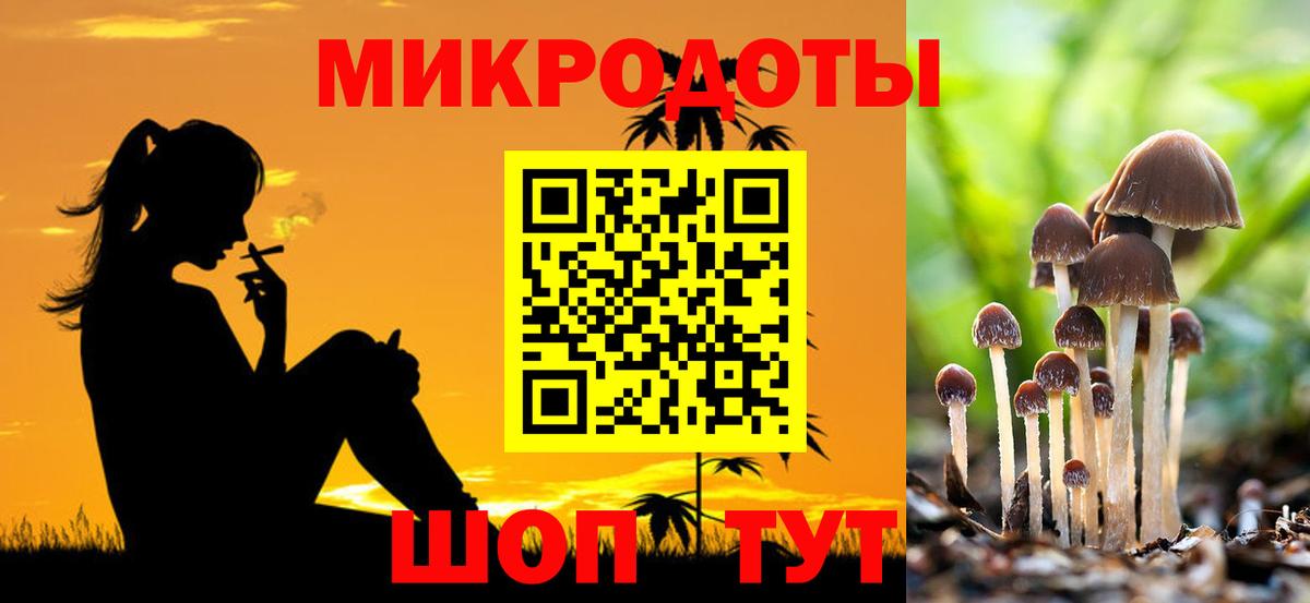Псилоцибиновые грибы мухоморы Юрга