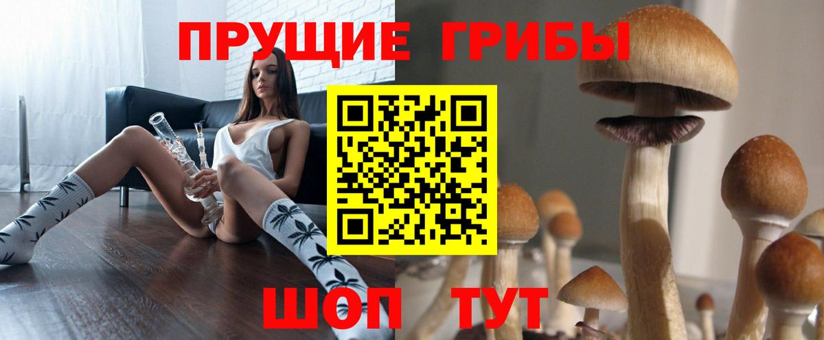 Галлюциногенные грибы прущие грибы  Вход с VPN  Псилоцибиновые грибы Magic Shrooms  Юрга 